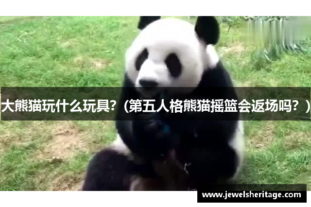 大熊猫玩什么玩具？(第五人格熊猫摇篮会返场吗？)